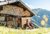 Alpbachtal: Hiking with a stroller, or without