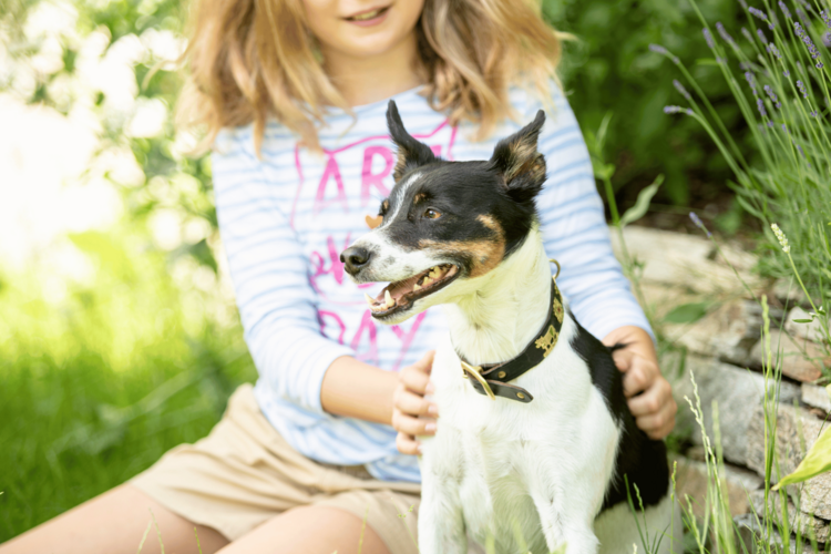 Special Herbst Special Herbst