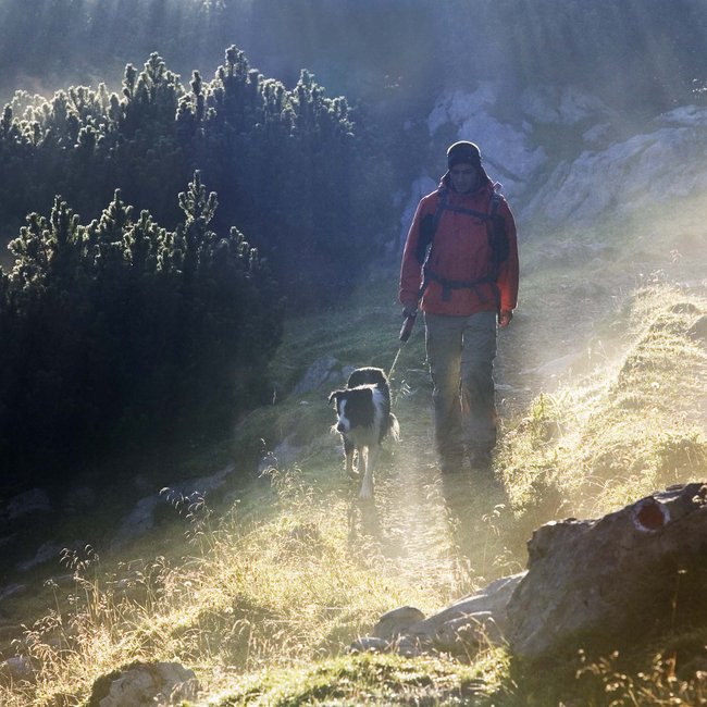 Urlaub mit Hund Urlaub mit Hund