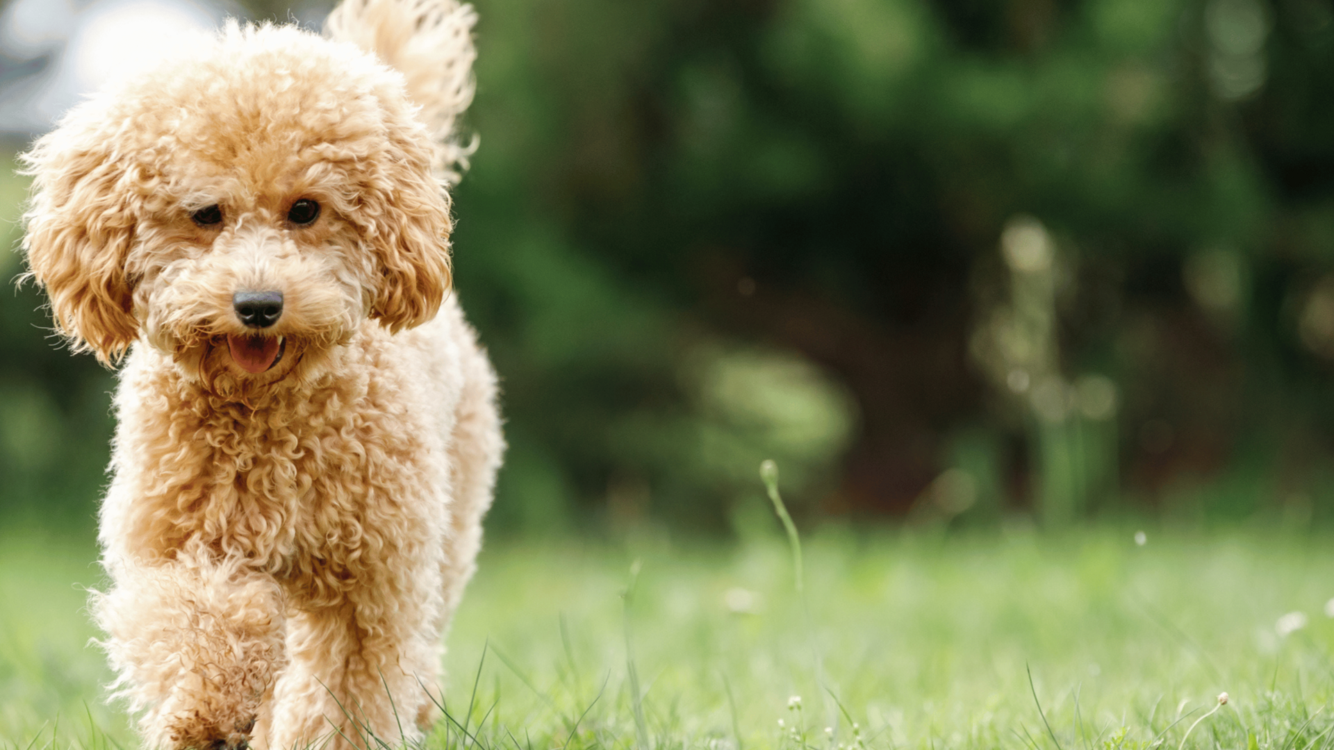 Special Herbst Special Herbst