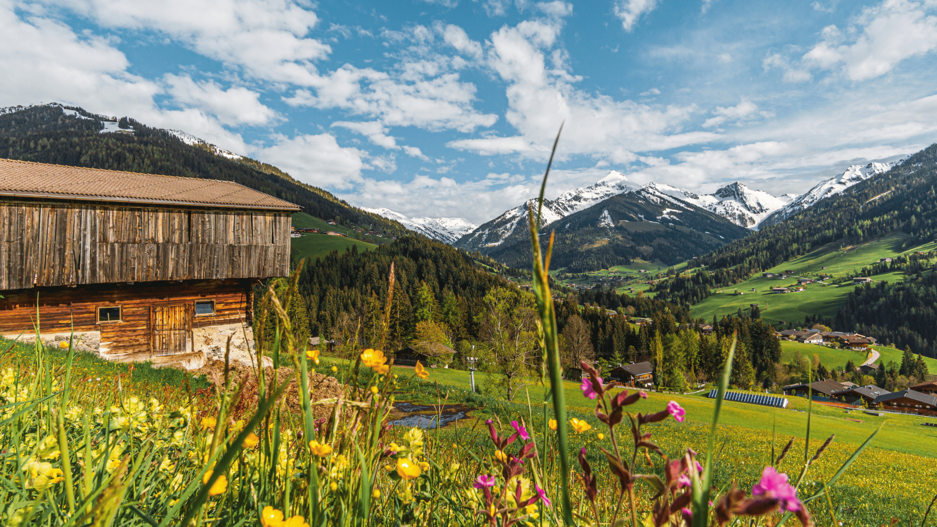 Ihr Hotel im Alpbachtal mit bergeweise Highlights Ihr Hotel im Alpbachtal mit bergeweise Highlights