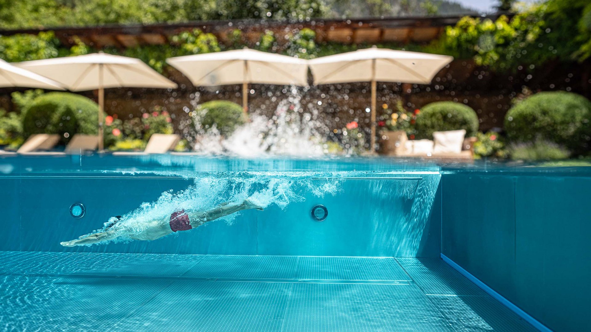 Family Special 2026 Family Special 2026