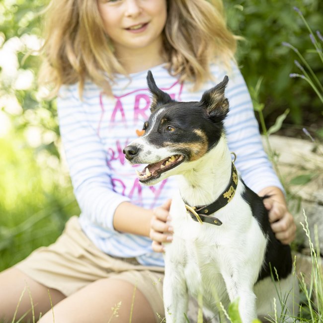 Urlaub mit Hund Urlaub mit Hund