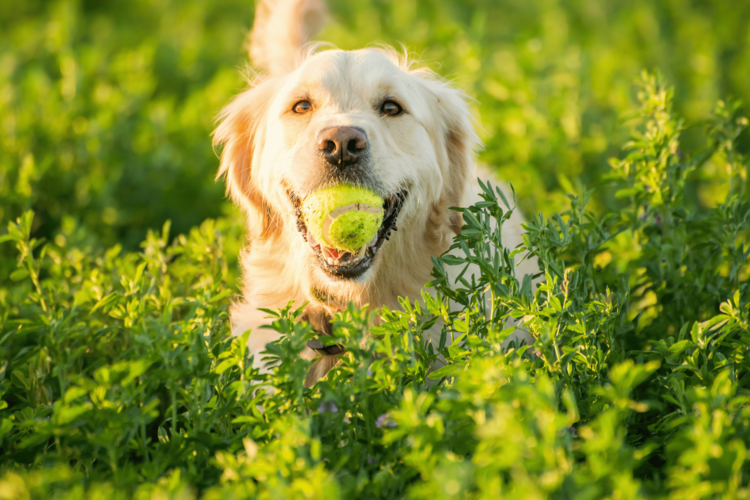 Special Herbst Special Herbst